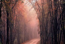 bet365：[网球]郑钦文：期待重新找回状态 享受比赛.