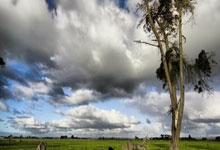 bet365：[德甲]第26轮：柏林联VS拜仁.