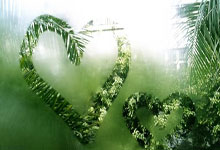 bet365：2025河源20公里城市亲水徒步活动举办3-23 21：31.