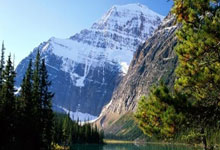 bet365：米体：纽卡斯尔关注加蒂，并将与阿森纳竞争弗拉霍维奇.